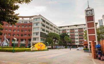 2024年学校个人总结报告6篇