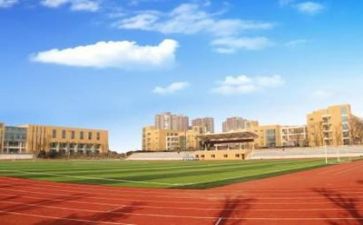 在学校的心得体会优质5篇