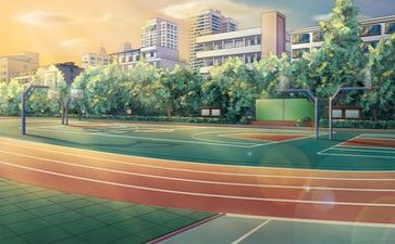 个人学校年度总结5篇