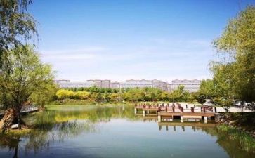 学校安全周活动总结参考8篇