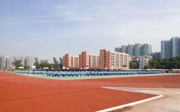 学校教师工作报告5篇