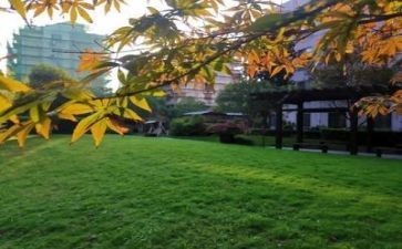 学校月工作总结优质5篇