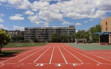 学校年终述职报告范文8篇