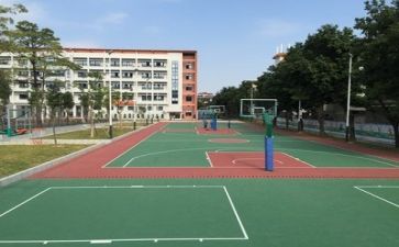 学校个人述职报告5篇