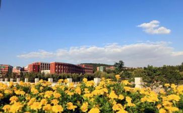 学校个人述职报告模板7篇