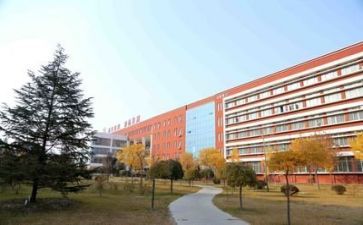 学校的工作计划和总结参考7篇