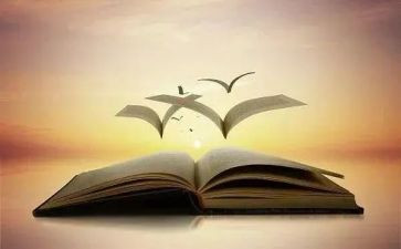 学业的总结报告5篇