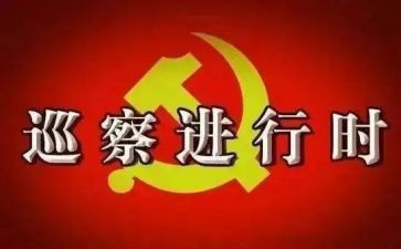 村巡察汇报材料8篇