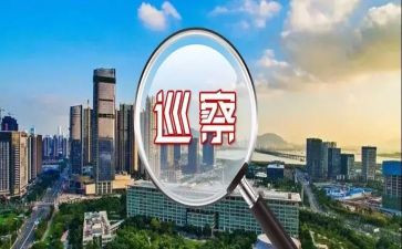 巡察干部的述职报告8篇