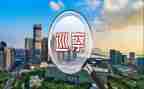 巡察组长2024年述职报告7篇
