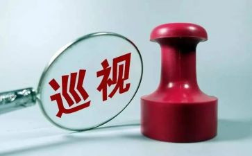 巡视组工作总结6篇