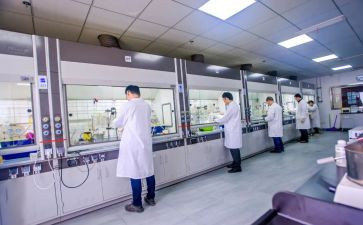 研发年工作计划5篇