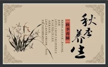 养生论的心得体会7篇