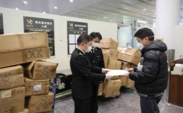 2024试验员工作计划7篇