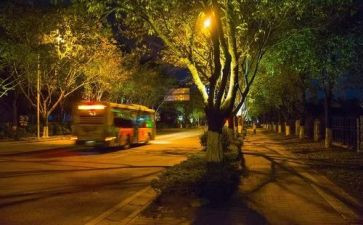 夜经济调查报告8篇