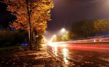 长夜行读后感6篇