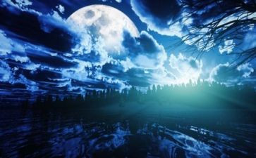 美丽的夜景小作文8篇