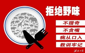 饮食健康拒绝野味演讲稿5篇