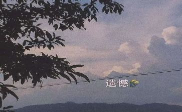 关于2024年遗憾的作文6篇