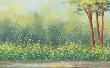 春雨的色彩中班教案6篇