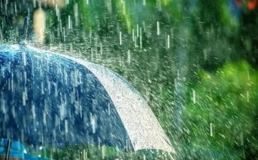 雨来的红色故事演讲稿5篇