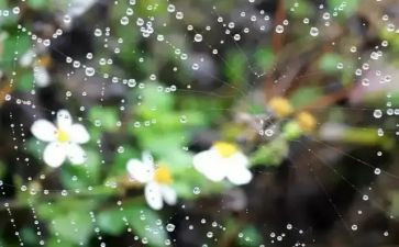 雨主题演讲稿精选7篇