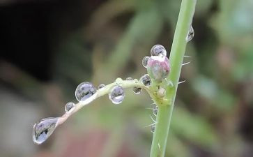 写春雨的作文400字7篇