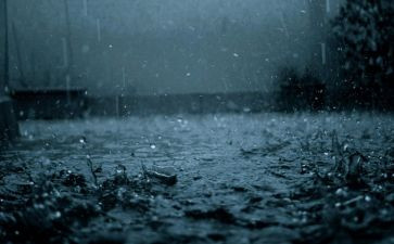 雨主题演讲稿7篇