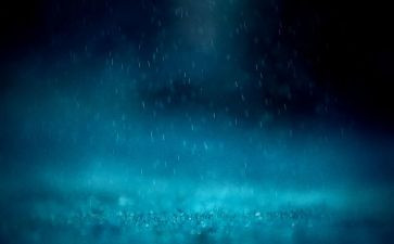 清明的雨作文推荐6篇