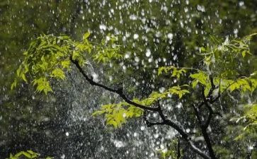 雨天演讲稿6篇