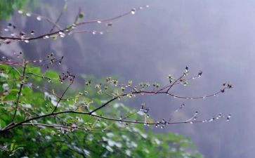 写春雨的作文600字模板7篇