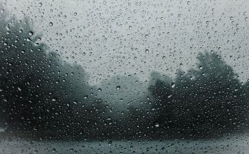 雨主题演讲稿优秀6篇