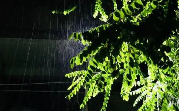雨霖铃柳永读后感5篇