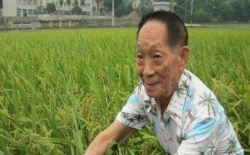 袁隆平优秀作文500字8篇