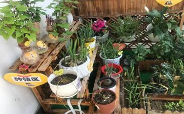 去幼儿园培训的心得体会5篇