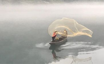 渔夫和小金鱼的读后感5篇