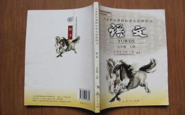 语文老师教研工作计划8篇