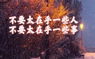 我在乎的人作文500字6篇