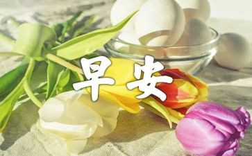 学校早演讲稿最新8篇