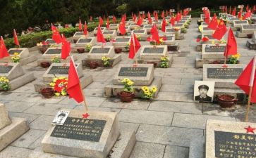 观看张从顺·张子权先进事迹心得体会5篇