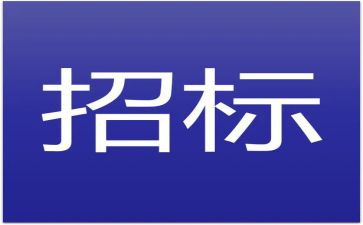 招标工作的个人总结模板8篇