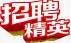 招聘工作总结个人范文6篇