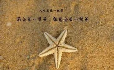 有哲理演讲稿优秀8篇