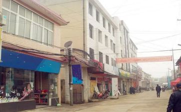 2024镇半年度工作总结报告参考5篇