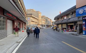 2024乡镇半年度工作总结参考6篇
