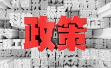 小学双减政策心得5篇