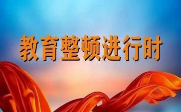 双整顿心得体会7篇