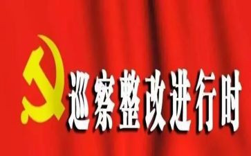 师德师风整改报告范文7篇