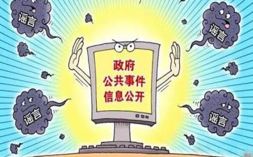 政务公开日活动总结7篇
