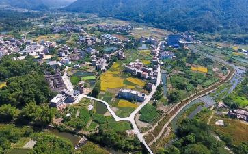 关于乡村振兴的心得体会7篇